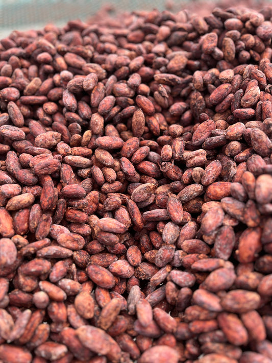 DISCOVER THE UNIQUE RICHNESS OF PERUVIAN CACAO WITH SIERRA NATURALS