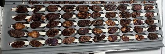 QUALITY CONTROL OF CACAO BEANS FROM ORIGIN