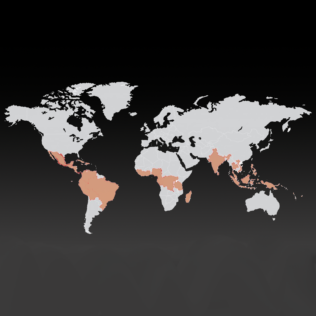 A world map highlighting key cocoa-producing regions in shades of orange. The highlighted areas include countries in Central and South America, Africa, and Southeast Asia, indicating the global distribution of cocoa production.