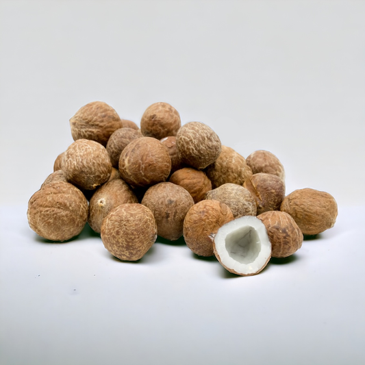 Close-up of shelled coquitos, showing the small edible coconut centers and their smooth outer layer.