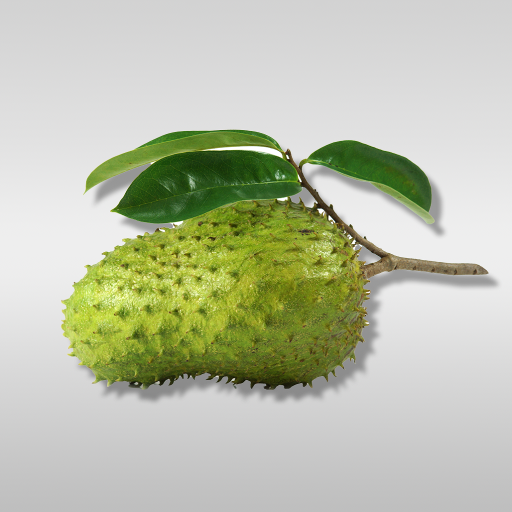 Close-up of fresh Graviola (Soursop) fruit, showcasing its green, spiky exterior.