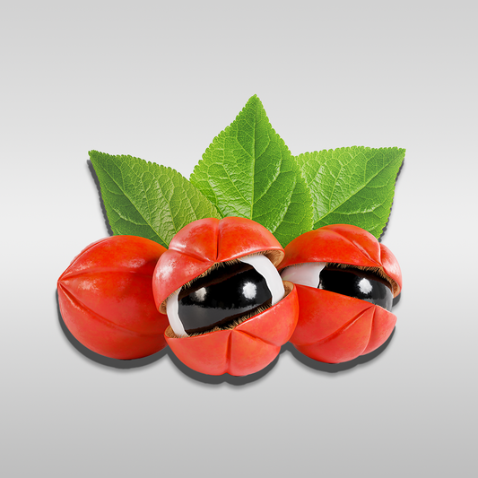 Close-up of ripe guarana fruits, showcasing their vibrant red color and unique appearance with partially exposed seeds.