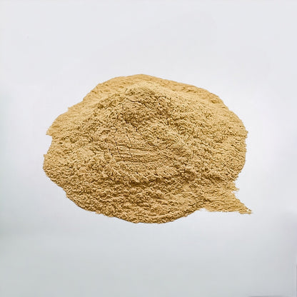 Finely ground Lucuma powder, highlighting its golden-yellow hue and smooth consistency.