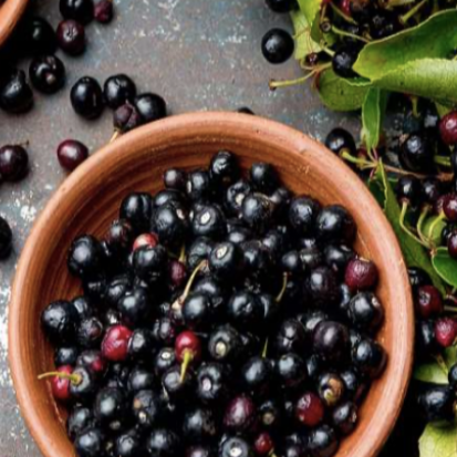 A bowl of fresh maqui berries, showcasing their deep purple color and smooth texture.