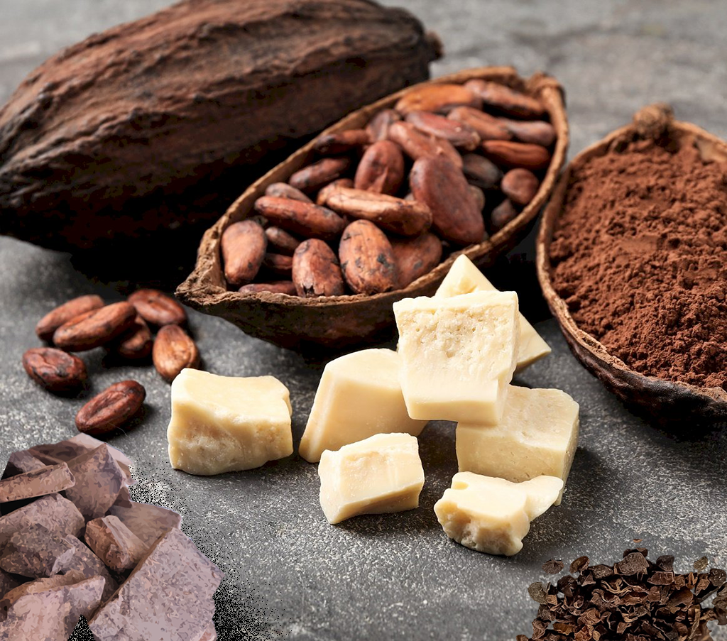 An assortment of cacao products displayed on a rustic surface. The image features whole cacao pods, cacao beans, chunks of creamy cacao butter, rich cacao powder, and pieces of dark chocolate. Each element showcases the natural and raw forms of cacao, emphasizing its rich texture and organic appeal