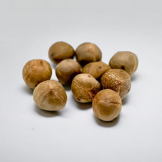 Close-up of Chilean Palm coconuts (coquitos) with shells, showcasing their smooth, tough outer layer.